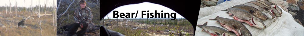 laketroutbanner
