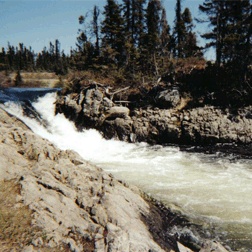 roaring brook